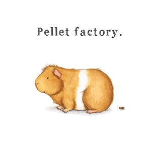 Pellet Factory 5x7 - Cute Guinea Pig Pooping Art Print