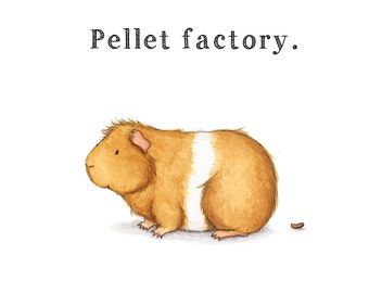 Pellet Factory 8x10 - Cute Guinea Pig Pooping Art Print