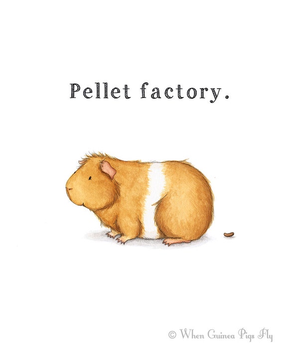 Pellet Factory Cute Guinea Pig Art Print Etsy,Tall Indoor Palm Trees