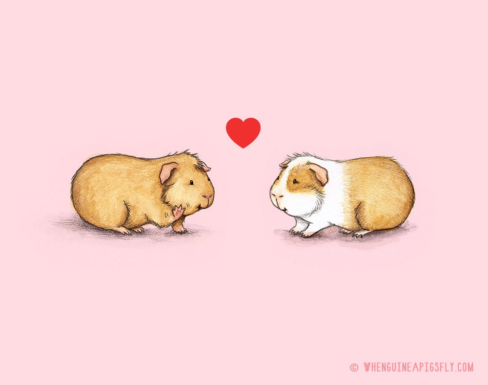 Be Mine Guinea Pig Valentine 8x10 Print Piggies in Love Etsy Canada