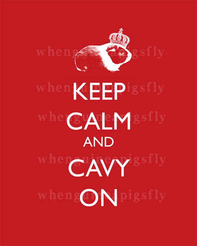 Keep Calm and Cavy On 8x10 Guinea Pig Art Print image 1