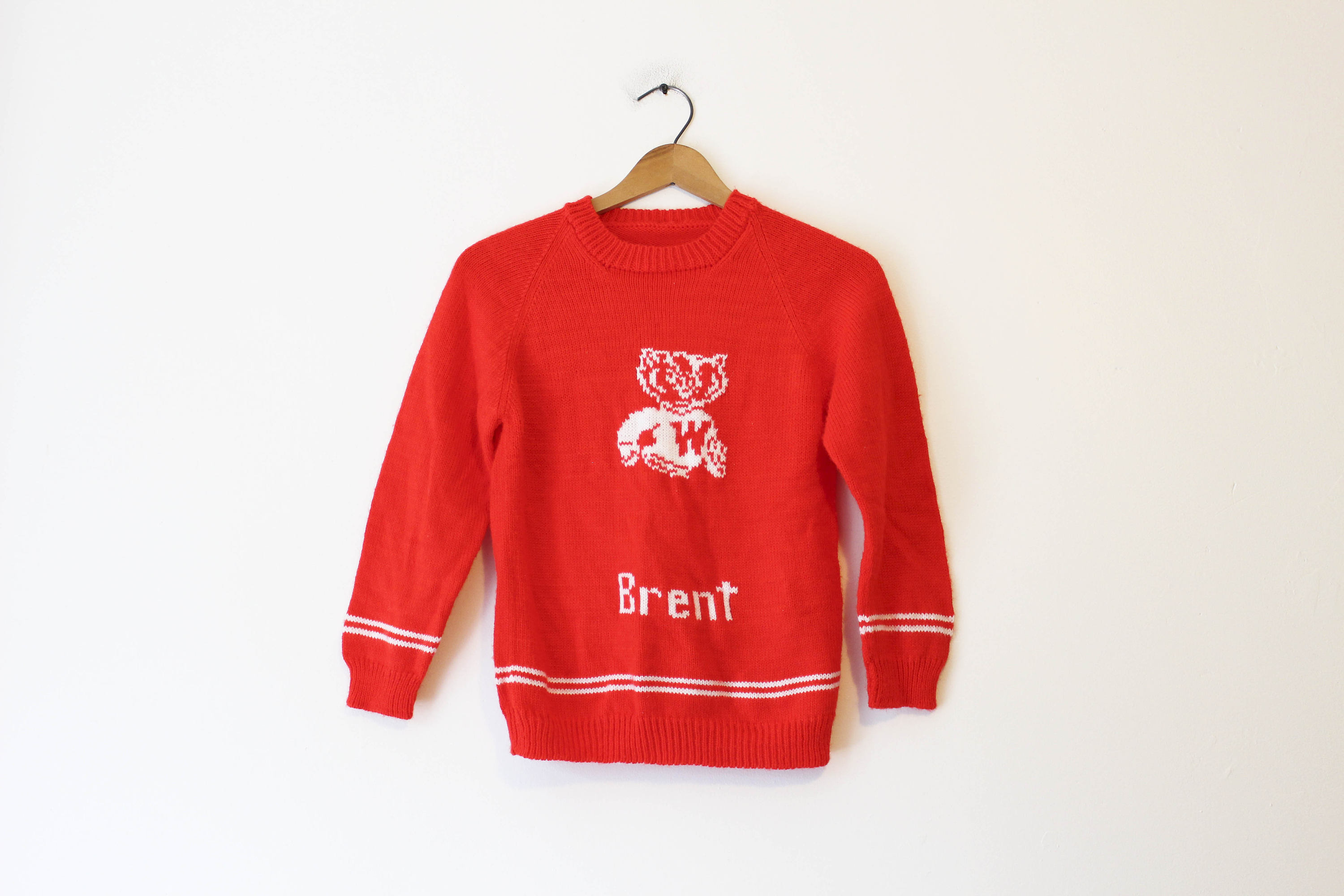 Bucky Badger Sweater - Etsy
