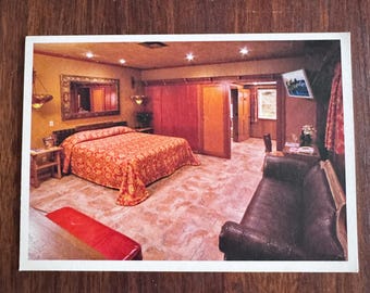 Vintage Kitschy Desert Sands Rm 115 Postcard Motel San Luis Obispo CA Large Format
