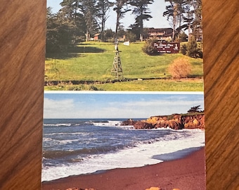 Vintage San Simeon Pines Seaside Resort Moonstone Beach CA Postcard