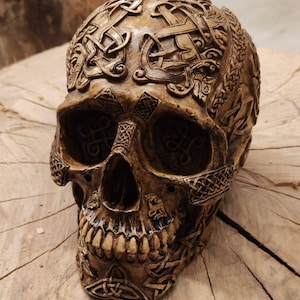 Puede incluir: Un cráneo marrón con intrincados tallados de nudos celtas. El cráneo está hecho de resina y tiene un diseño detallado.