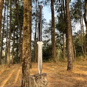 May include: A silver sword with a black handle stands upright, embedded in a tree stump. The double-edged blade tapers to a point. The handle is wrapped in a textured material. The background shows a forest of tall trees.
