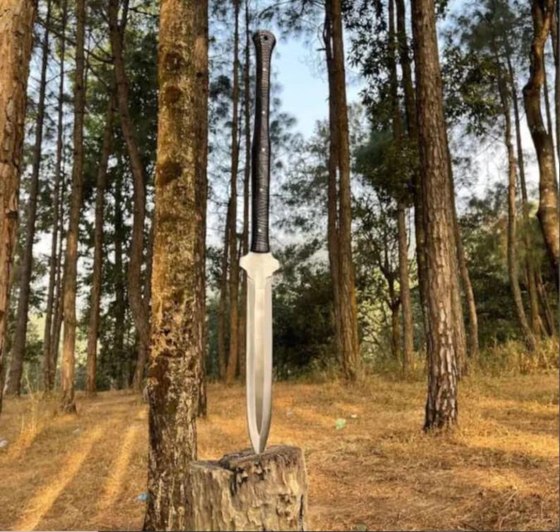 May include: A silver sword with a black handle stands upright, embedded in a tree stump. The double-edged blade tapers to a point. The handle is wrapped in a textured material. The background shows a forest of tall trees.