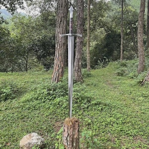 May include: A long, silver sword with a crossguard and ornate handle is embedded in a tree stump. The sword is positioned vertically against a backdrop of a lush green forest with tall trees and dense foliage.