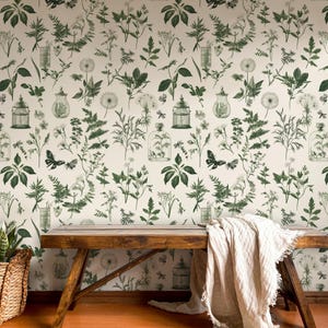 Vintage Botanical Wallpaper, Green Nature Floral Wall Mural with Plants, Herbs, Butterflies and Jars – Cottagecore Peel and Stick Wallpaper