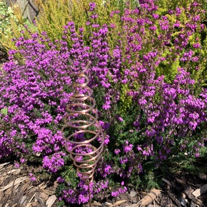 May include: A copper-coloured metal garden stake featuring a spiralling, conical wire design. The wire forms a series of concentric circles that taper to a point at the top, supported by a thin, straight vertical metal rod extending downwards.