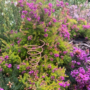 Copper Electroculture Antenna • Handmade Lost Cubit length Fibonacci Spiral for Garden, Plants & Indoor Growing