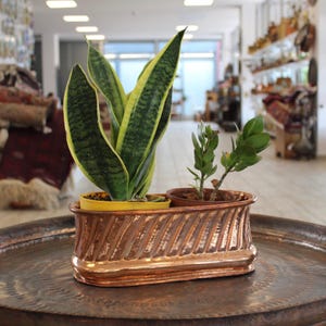 May include: An elongated, rectangular copper planter featuring a textured, diagonal ribbed pattern along its sides. The metallic vessel holds two separate potted plants, one with tall, variegated green and yellow leaves and one with small green leaves.