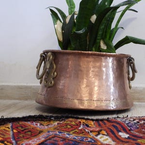 May include: A round, hammered copper planter with a wide, tapered body and a flat base. It features two ornate, brass-coloured metal handles attached to the sides. A green plant with long, pointed leaves is potted inside the copper vessel.