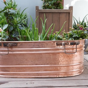 May include: A copper-colored, oval-shaped planter filled with various green plants. The planter has two handles and a hammered texture. The plants include aloe vera and other leafy varieties, creating a natural, rustic aesthetic.