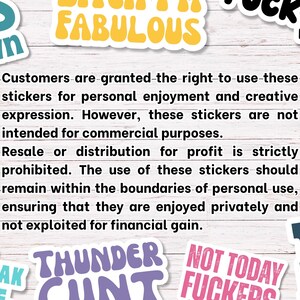 In My Bad Bitch Era Digital Stickers Pack | Swear Words & Phrases | for Planners, Journals, Laptop, Scrapbooking | Swear Word sticker PNGs image 6
