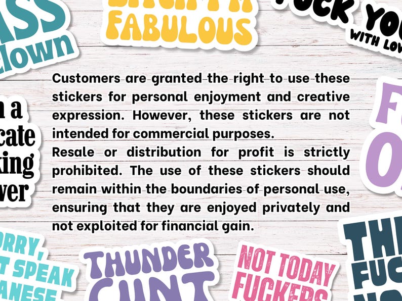 In My Bad Bitch Era Digital Stickers Pack | Swear Words & Phrases | for Planners, Journals, Laptop, Scrapbooking | Swear Word sticker PNGs image 6