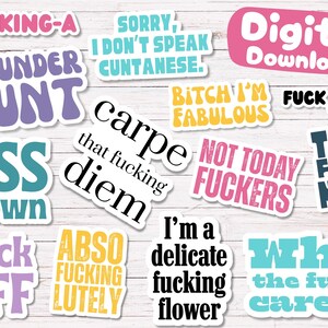 In My Bad Bitch Era Digital Stickers Pack | Swear Words & Phrases | for Planners, Journals, Laptop, Scrapbooking | Swear Word sticker PNGs image 3