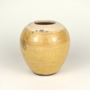 Può includere: Un piccolo vaso rotondo in ceramica con corpo color beige chiaro e bordo color crema. Un delicato motivo floreale è inciso sul lato. Il vaso ha una finitura liscia e lucida e una base marrone scuro. È alto circa 10 cm.