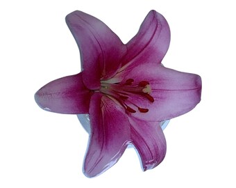 May include: A close-up of a vibrant, magenta-colored lily flower. The flower has six petals with a delicate texture and a prominent stamen. The petals are a gradient of magenta and pink.