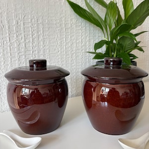 Puede incluir: Dos tarros de cerámica marrón oscuro brillante a juego con tapas. Cada tarro tiene una forma redondeada y un diseño de remolino decorativo. Dos cucharas de cerámica blanca están en primer plano. Una planta verde está en el fondo.