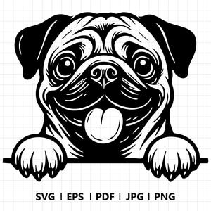 Hand Drawn | Cute Pug Dog SVG PNG | Smiling Pug Clipart | Funny Pet Sublimation Design | Dog Face Cut File for Cricut & Silhouette