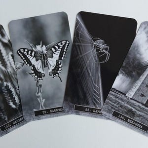 Oráculo Shelob Oráculo Completo Oráculo de Shelob 156Cards Oráculo Preto e Branco Oráculo dos Relacionamentos Oráculo da Correlação Oráculo Pessoal