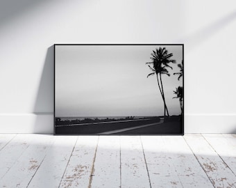 Puede incluir: Impresión enmarcada en blanco y negro que representa una escena costera con palmeras. Un camino y el mar son visibles en la distancia. La obra de arte se exhibe en una pared blanca sobre un suelo de madera desgastada.