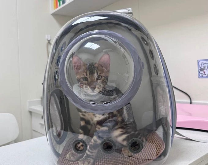 Space Capsule Pet Backpack Carrier - Transparent Bubble for Cats & Small Dog, Breathable Backpack for Pet, Functional PetTravel Carrier Bag