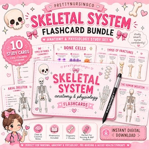 May include: A pink and white Skeletal System Flashcard Bundle with the text "Anatomy & Physiology Study Set". The set includes 10 study cards with diagrams and visuals. The image also includes a pen and a cartoon illustration.