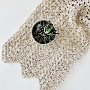 May include: A beige crocheted table runner with a scalloped edge. A small potted succulent plant sits on top of the runner.