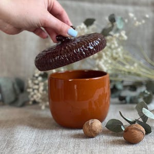Peut inclure: Un pot en céramique avec un couvercle, de couleur brun-orangé chaud. Le couvercle est d'une nuance de brun plus foncée et a une surface texturée. Deux noix sont devant le pot.