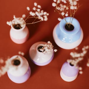 Op de afbeelding: Een verzameling van vijf kleine keramische vazen in pastelkleuren, waaronder roze, blauw en lavendel. Elke vaas is gevuld met delicate witte bloemen, wat een zachte en uitnodigende uitstraling creëert. De vazen staan op een effen, roodbruine achtergrond.
