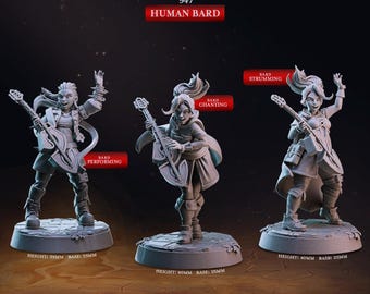 Female Human Bard Miniature | D&D 16K Resin Print | Heroic 32mm | TTRPG Musician Character | Pathfinder RPG Mini | Bard with Lute Performer