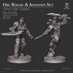 Female Orc Rogue & Assassin Miniatures | 12K Resin Prints for DnD  | WoW-Inspired Orcs | Heroic Scale | Imagine Minis | RPG Enemies or PCs