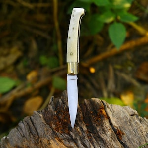 Puede incluir: Primer plano de una navaja con mango de hueso y hoja plateada. El mango tiene detalles de lat&oacute;n y est&aacute; asegurado con remaches. El cuchillo descansa sobre un trozo de madera desgastada, con un fondo verde borroso.