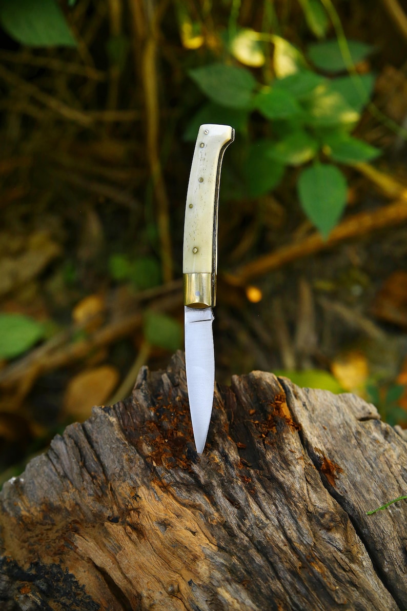 Puede incluir: Primer plano de una navaja con mango de hueso y hoja plateada. El mango tiene detalles de lat&oacute;n y est&aacute; asegurado con remaches. El cuchillo descansa sobre un trozo de madera desgastada, con un fondo verde borroso.