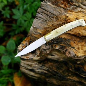 Puede incluir: Un peque&ntilde;o cuchillo de estilo vintage con una hoja de acero pulido y un mango color crema. El mango est&aacute; asegurado con peque&ntilde;os remaches de lat&oacute;n. El cuchillo descansa sobre un trozo de madera envejecida, con follaje verde al fondo.