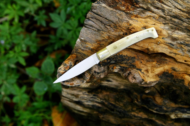 Puede incluir: Un peque&ntilde;o cuchillo de estilo vintage con una hoja de acero pulido y un mango color crema. El mango est&aacute; asegurado con peque&ntilde;os remaches de lat&oacute;n. El cuchillo descansa sobre un trozo de madera envejecida, con follaje verde al fondo.