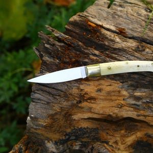 Puede incluir: Un cuchillo artesanal con una hoja de acero pulido y un mango color crema. El mango est&aacute; adornado con peque&ntilde;os remaches y una virola de lat&oacute;n. El cuchillo descansa sobre una superficie de madera envejecida y texturizada, con follaje verde al fondo.