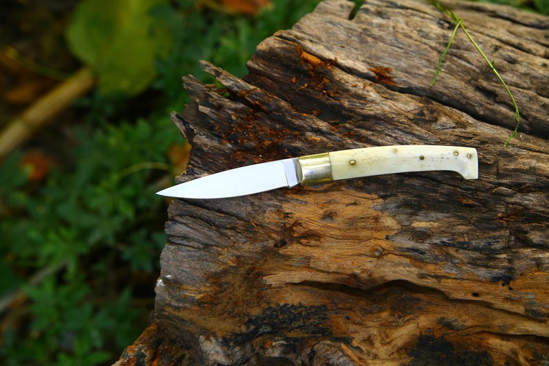 Puede incluir: Un cuchillo artesanal con una hoja de acero pulido y un mango color crema. El mango est&aacute; adornado con peque&ntilde;os remaches y una virola de lat&oacute;n. El cuchillo descansa sobre una superficie de madera envejecida y texturizada, con follaje verde al fondo.