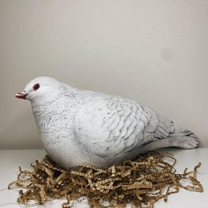 Soft Life Size Pigeon Toy | Ultra Realistic Handmade Bird Gift