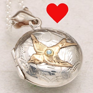Working Compass Necklace, Sterling Silver Bird Locket, Nature Lover Gifts For Women, Photo Locket, Birthstone Jewelry, Songbird, Victorian