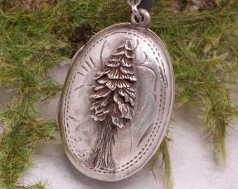 Fotomedaillon, Kiefernanhänger-Halskette, Geschenk für Naturliebhaber, Familienschmuck, Fotomedaillon, Baummedaillon aus Sterlingsilber