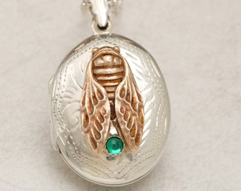 Sterling Silver Locket, Cicada Necklace, Cicada Pendant Silver, Insect Jewelry,  Photo Locket Necklace, Personalized Stone