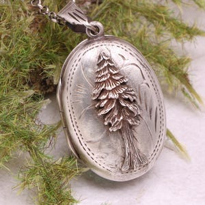 May include: A silver oval locket with a detailed relief of a pine tree. The locket hangs from a silver chain. The tree is the focal point, with etched details on the locket's surface. The locket is displayed against a backdrop of green foliage.