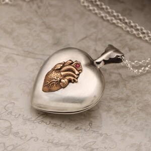 May include: A silver heart-shaped locket with a gold anatomical heart design and a red gemstone. The locket is on a silver chain.