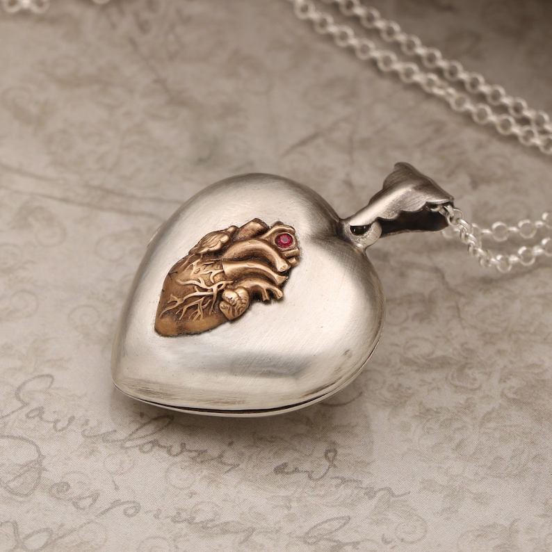 May include: A silver heart-shaped locket with a gold anatomical heart design and a red gemstone. The locket is on a silver chain.