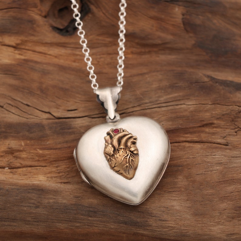 May include: A silver heart-shaped locket necklace with a detailed gold anatomical heart design and a red gemstone in the center.