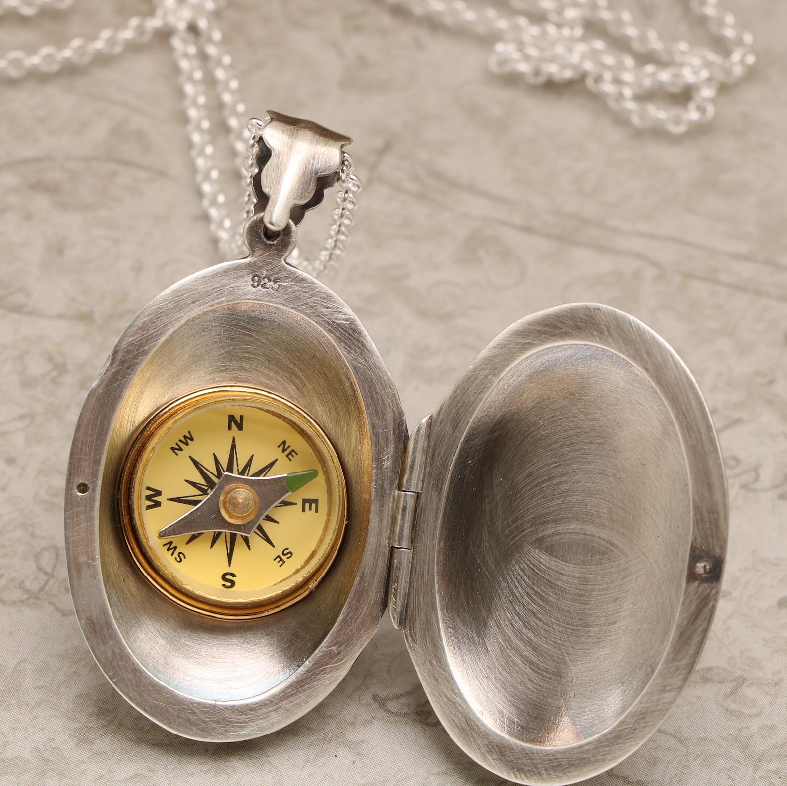 Silver Locket Necklace, Apple Necklace, Apple Tree Branch, Compass ...