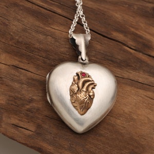 May include: A silver heart-shaped locket with a gold anatomical heart design and a red gemstone in the center.